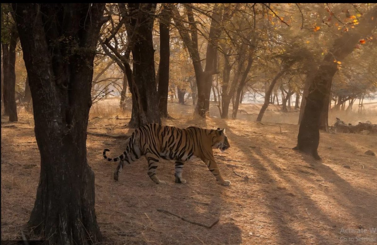 Susanta Nanda IFS (Retd) tweet media