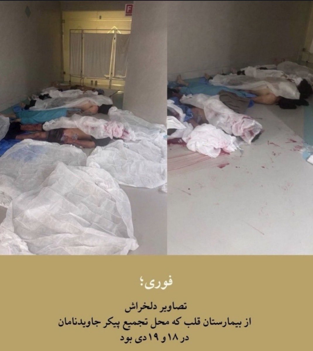 تُرنگ✨ tweet media