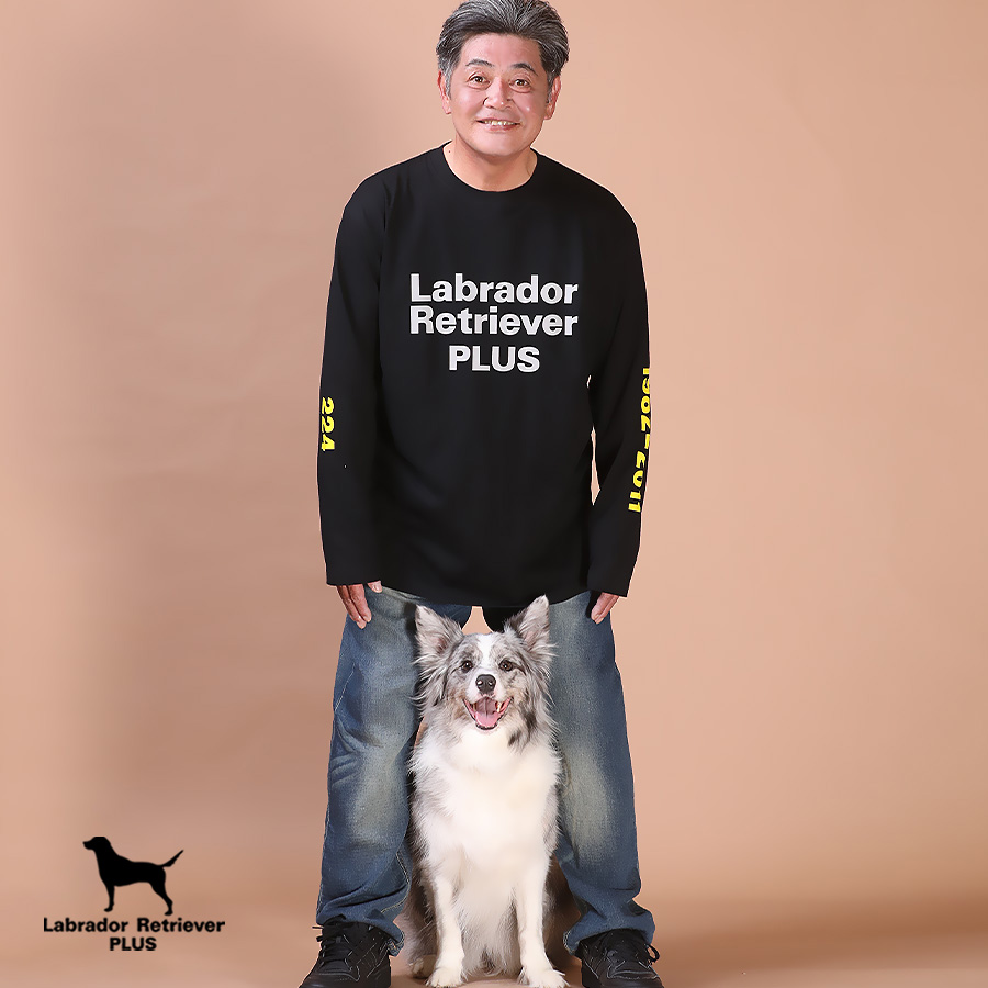Labrador Retriever PLUS tweet media