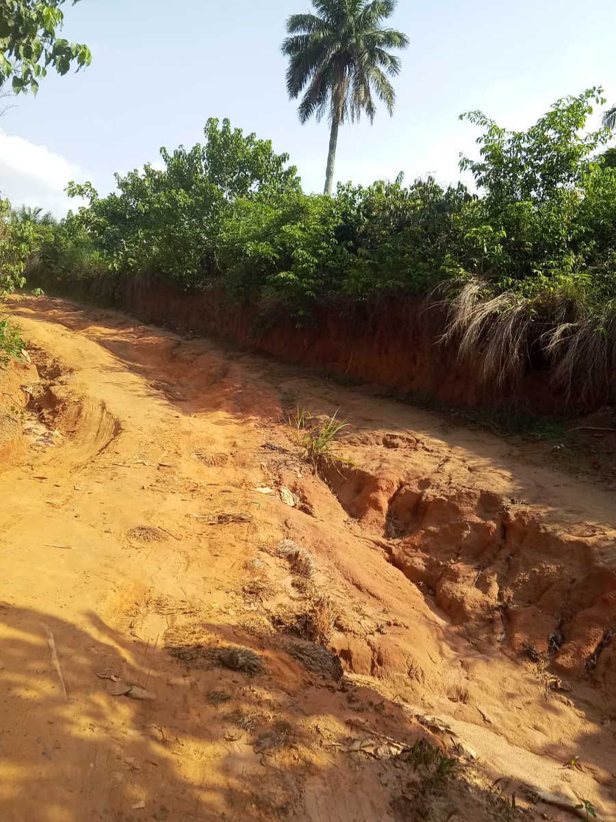 TrackaNG's tweet photo. The project titled Payment for Grading and Surface Dressing of Selected Feeder Farm Roads (Phase 1) Linking Various Communities (Awuja Farm Settlement), Akoli Imenyi, Abia State is another disturbing example of how public spending can fail to translate into public value.

Despite the payment of N432.46m to Nolarix Nigeria Ltd on 13 December 2025, under the @nrcri_umudike as implementing agency, our field findings indicate that the project has not been executed.

The road remains in deplorable condition and continues to pose serious risks to residents and farmers who depend on it daily.

During our visit, the route was so unsafe that movement by motorcycle was hazardous, with near-falls recorded multiple times. This is not meant to be the condition of a road that has benefited from over N432 million in public funds.

Beyond the physical state of the road lies the human cost of neglect. Residents explained that on market days, many farmers are forced to carry their produce on foot for about 30 minutes to the next community before accessing trucks to transport goods for sale. Trucks often avoid the area entirely, especially during the rainy season, because the steep and slippery terrain becomes nearly impassable under the weight of farm produce.

This means farmers are losing time, income, and opportunities because a critical rural access road remains abandoned despite substantial payment. A feeder road is not a luxury project. It is economic infrastructure that connects producers to markets, reduces post harvest losses, and supports rural livelihoods.

This case also raises deeper concerns about project oversight and agency mandate. Why is such a large sum paid without visible results? What milestones justified payment? What monitoring mechanisms failed to detect non-performance?

With the recent news about the N68.32trn Federal Government budget, this case is a warning that Nigerians must watch the budget more closely than ever. Budgets are promises on paper, but without citizen vigilance, many promises end as incomplete projects, misplaced priorities, or invisible infrastructure.

We call on the @nrcri_umudike to immediately disclose the full contract details, scope of work, payment milestones, and implementation status of this project.

We also urge the @officialEFCC and @icpcnigeria to investigate this project and ensure accountability for every naira disbursed.

#Publicfundsmustworkforthegoodofthepeople Rural farmers in Abia deserve roads that move produce to market, not roads that trap communities in poverty.

#Askquestions