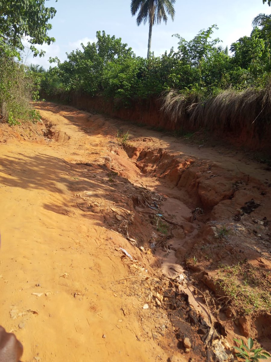 TrackaNG's tweet photo. The project titled Payment for Grading and Surface Dressing of Selected Feeder Farm Roads (Phase 1) Linking Various Communities (Awuja Farm Settlement), Akoli Imenyi, Abia State is another disturbing example of how public spending can fail to translate into public value.

Despite the payment of N432.46m to Nolarix Nigeria Ltd on 13 December 2025, under the @nrcri_umudike as implementing agency, our field findings indicate that the project has not been executed.

The road remains in deplorable condition and continues to pose serious risks to residents and farmers who depend on it daily.

During our visit, the route was so unsafe that movement by motorcycle was hazardous, with near-falls recorded multiple times. This is not meant to be the condition of a road that has benefited from over N432 million in public funds.

Beyond the physical state of the road lies the human cost of neglect. Residents explained that on market days, many farmers are forced to carry their produce on foot for about 30 minutes to the next community before accessing trucks to transport goods for sale. Trucks often avoid the area entirely, especially during the rainy season, because the steep and slippery terrain becomes nearly impassable under the weight of farm produce.

This means farmers are losing time, income, and opportunities because a critical rural access road remains abandoned despite substantial payment. A feeder road is not a luxury project. It is economic infrastructure that connects producers to markets, reduces post harvest losses, and supports rural livelihoods.

This case also raises deeper concerns about project oversight and agency mandate. Why is such a large sum paid without visible results? What milestones justified payment? What monitoring mechanisms failed to detect non-performance?

With the recent news about the N68.32trn Federal Government budget, this case is a warning that Nigerians must watch the budget more closely than ever. Budgets are promises on paper, but without citizen vigilance, many promises end as incomplete projects, misplaced priorities, or invisible infrastructure.

We call on the @nrcri_umudike to immediately disclose the full contract details, scope of work, payment milestones, and implementation status of this project.

We also urge the @officialEFCC and @icpcnigeria to investigate this project and ensure accountability for every naira disbursed.

#Publicfundsmustworkforthegoodofthepeople Rural farmers in Abia deserve roads that move produce to market, not roads that trap communities in poverty.

#Askquestions