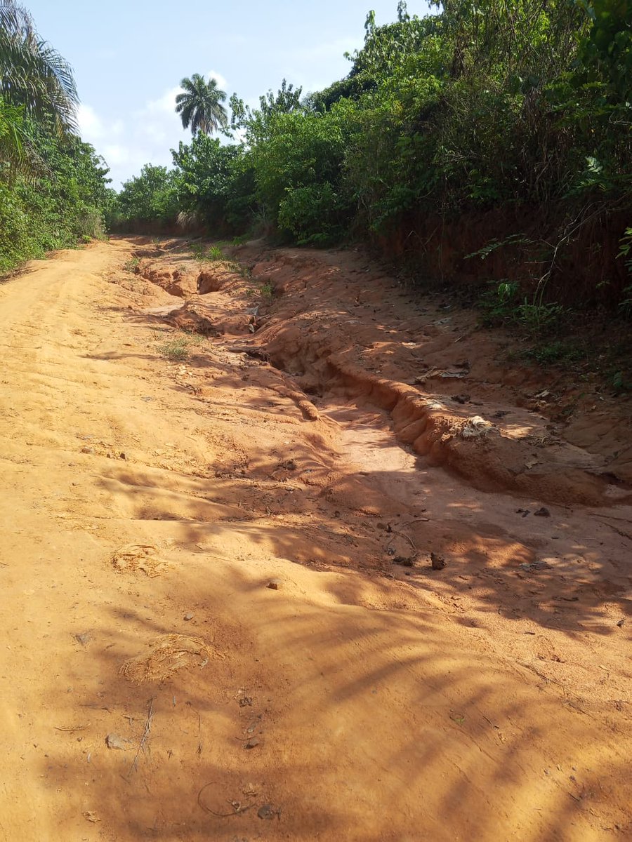 TrackaNG's tweet photo. The project titled Payment for Grading and Surface Dressing of Selected Feeder Farm Roads (Phase 1) Linking Various Communities (Awuja Farm Settlement), Akoli Imenyi, Abia State is another disturbing example of how public spending can fail to translate into public value.

Despite the payment of N432.46m to Nolarix Nigeria Ltd on 13 December 2025, under the @nrcri_umudike as implementing agency, our field findings indicate that the project has not been executed.

The road remains in deplorable condition and continues to pose serious risks to residents and farmers who depend on it daily.

During our visit, the route was so unsafe that movement by motorcycle was hazardous, with near-falls recorded multiple times. This is not meant to be the condition of a road that has benefited from over N432 million in public funds.

Beyond the physical state of the road lies the human cost of neglect. Residents explained that on market days, many farmers are forced to carry their produce on foot for about 30 minutes to the next community before accessing trucks to transport goods for sale. Trucks often avoid the area entirely, especially during the rainy season, because the steep and slippery terrain becomes nearly impassable under the weight of farm produce.

This means farmers are losing time, income, and opportunities because a critical rural access road remains abandoned despite substantial payment. A feeder road is not a luxury project. It is economic infrastructure that connects producers to markets, reduces post harvest losses, and supports rural livelihoods.

This case also raises deeper concerns about project oversight and agency mandate. Why is such a large sum paid without visible results? What milestones justified payment? What monitoring mechanisms failed to detect non-performance?

With the recent news about the N68.32trn Federal Government budget, this case is a warning that Nigerians must watch the budget more closely than ever. Budgets are promises on paper, but without citizen vigilance, many promises end as incomplete projects, misplaced priorities, or invisible infrastructure.

We call on the @nrcri_umudike to immediately disclose the full contract details, scope of work, payment milestones, and implementation status of this project.

We also urge the @officialEFCC and @icpcnigeria to investigate this project and ensure accountability for every naira disbursed.

#Publicfundsmustworkforthegoodofthepeople Rural farmers in Abia deserve roads that move produce to market, not roads that trap communities in poverty.

#Askquestions