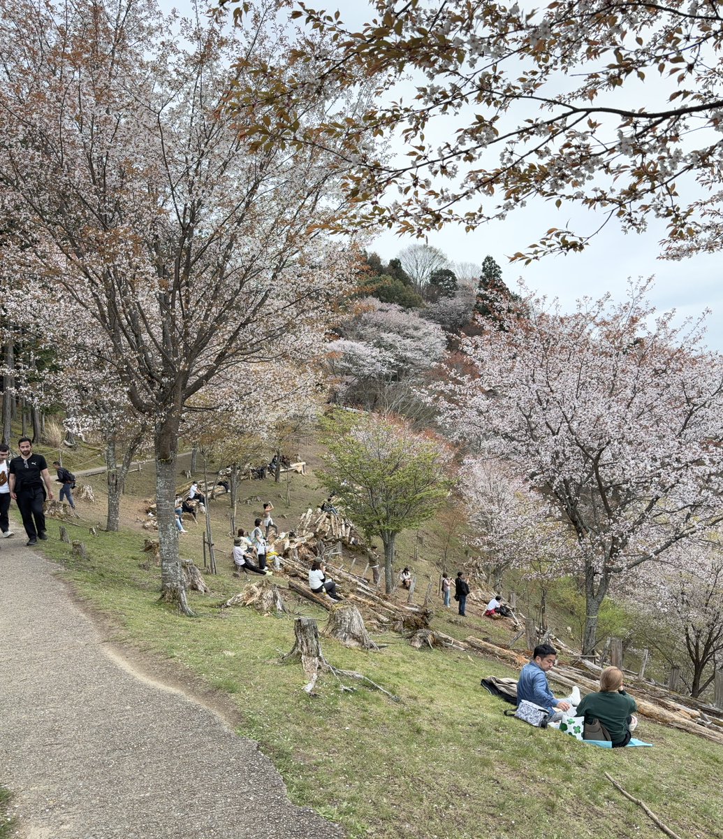 ata_turak's tweet photo. @oyilmaz Potansiyeli var gibi..(Mont Yoshino Japan) https://t.co/gn12i1OfRM