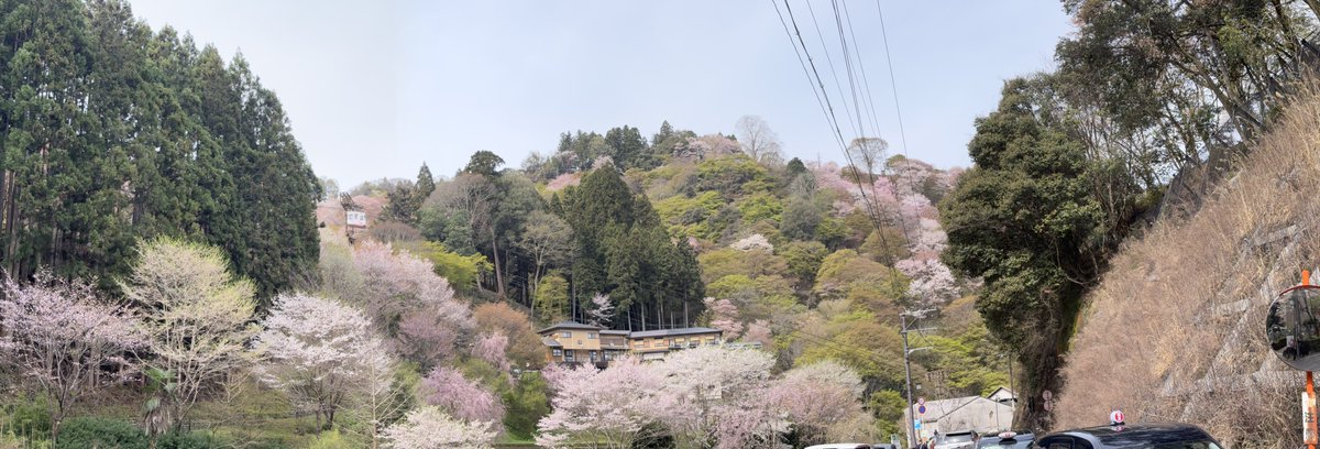 ata_turak's tweet photo. @oyilmaz Potansiyeli var gibi..(Mont Yoshino Japan) https://t.co/gn12i1OfRM