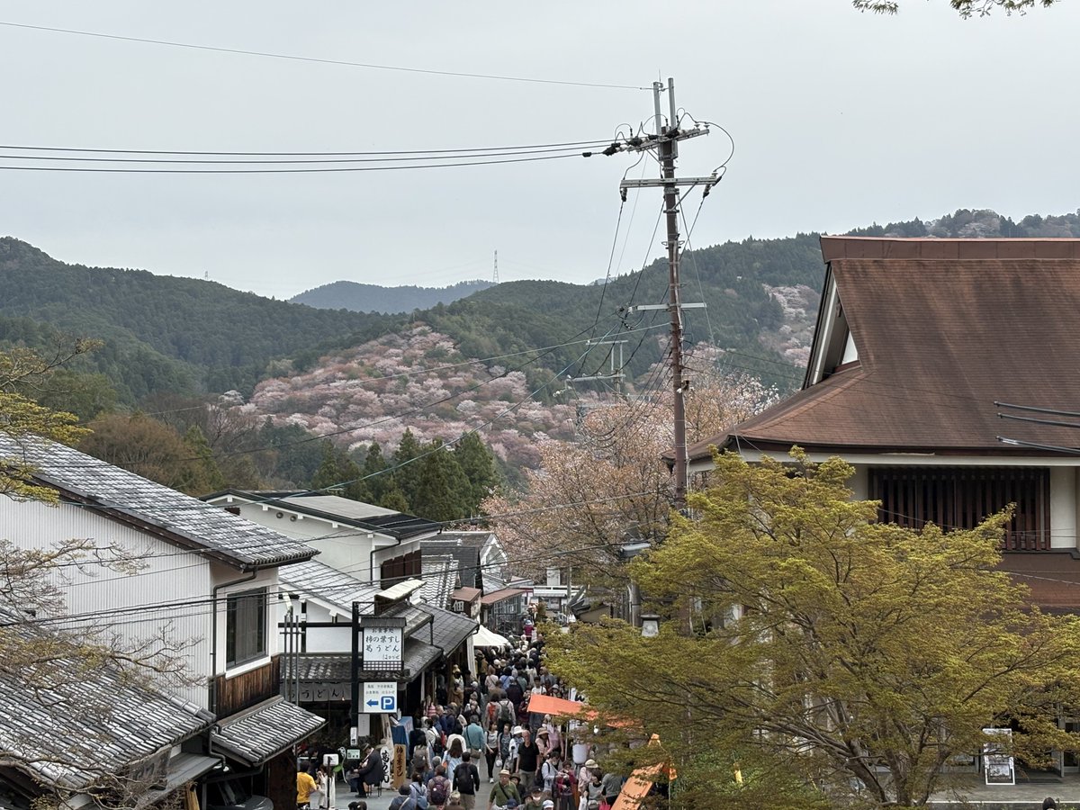 ata_turak's tweet photo. @oyilmaz Potansiyeli var gibi..(Mont Yoshino Japan) https://t.co/gn12i1OfRM