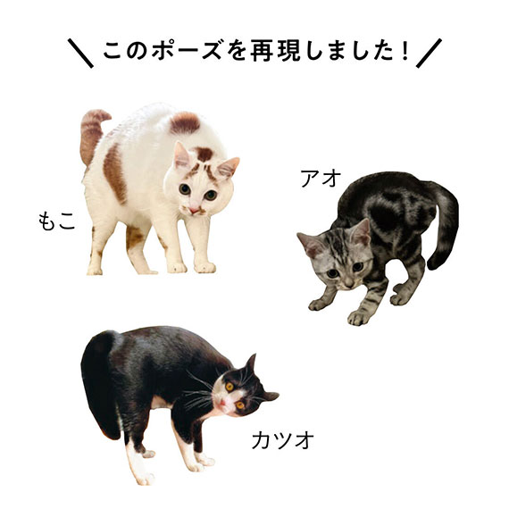 フェリシモ「猫部」 tweet media