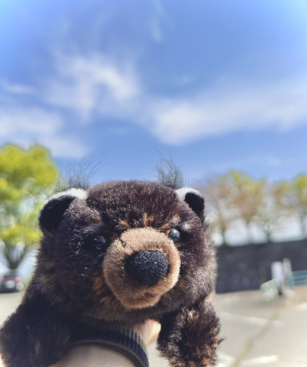 アルバス tweet media