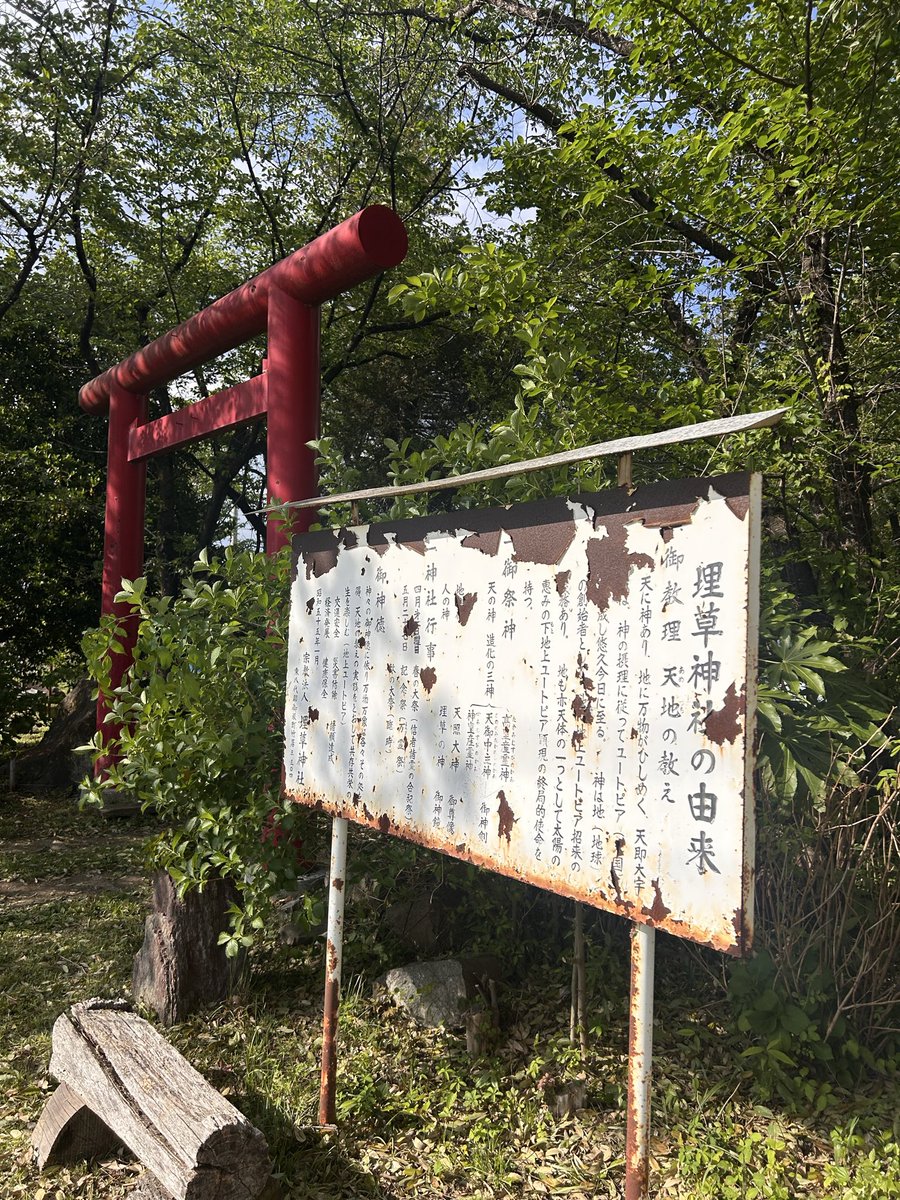 たろー tweet media
