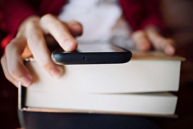 Anna Collins tweet media