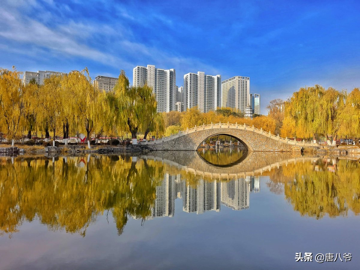 Arlene Goode tweet media