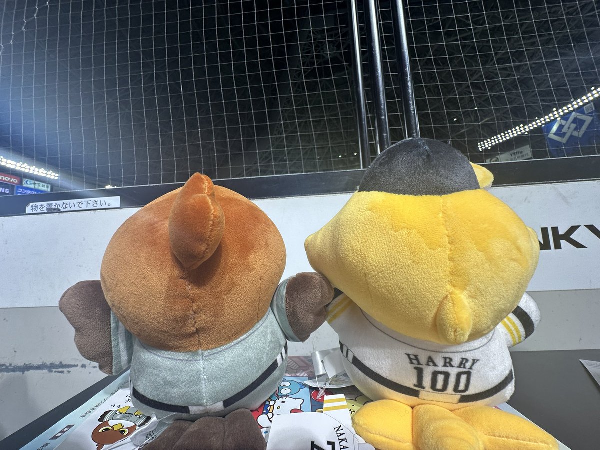 ＫaＮa＊* tweet media