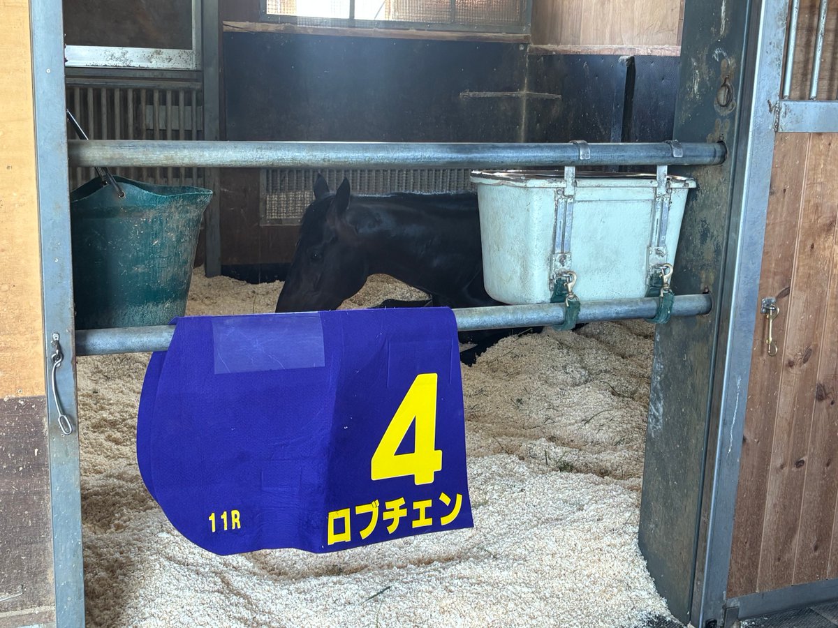 井上達也　デイリースポーツ(競馬) tweet media