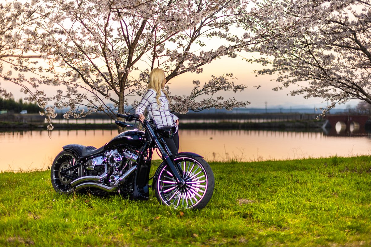 yuki_fxbr's tweet photo. 放置しすぎてた
最近の写真🫧

#harleydavidson #ブレイクアウト #breakout  #fxbr https://t.co/an7M6YepIb