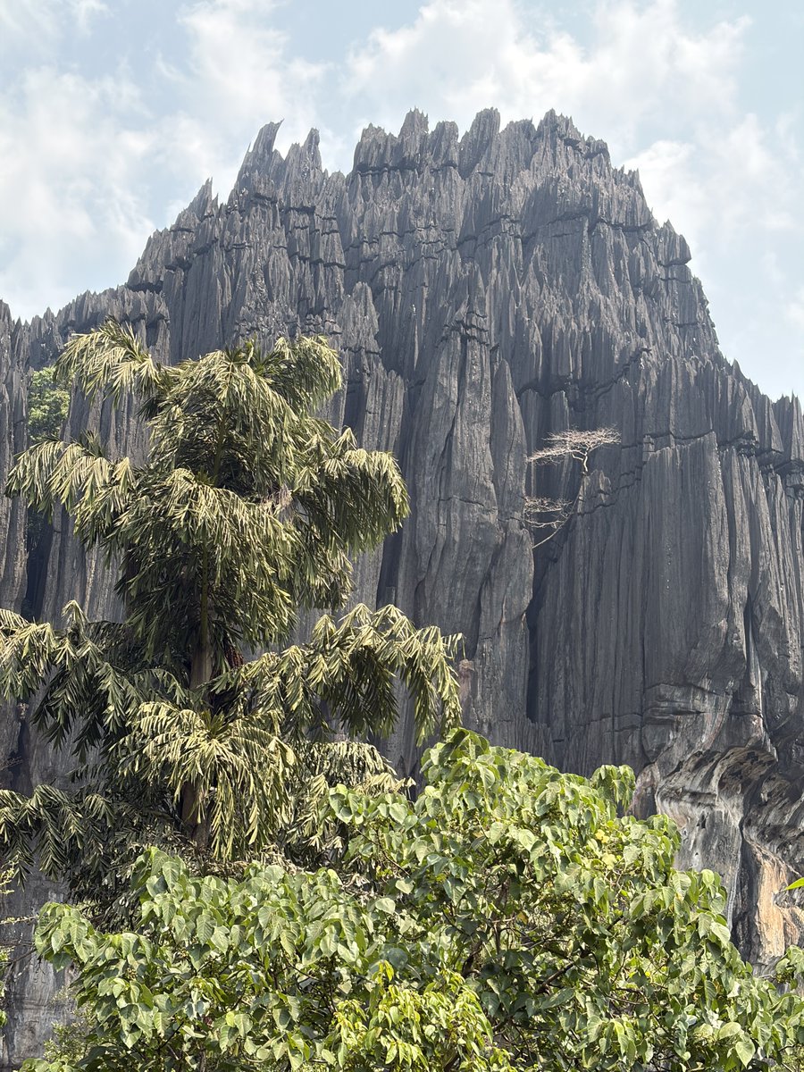 pitrodashwin's tweet photo. Towering rocks, ancient caves, forest silence. Yana has a magic you can't photograph. 🏞️ #YanaCaves #Karnataka #Travel https://t.co/LqI0v3m2h5