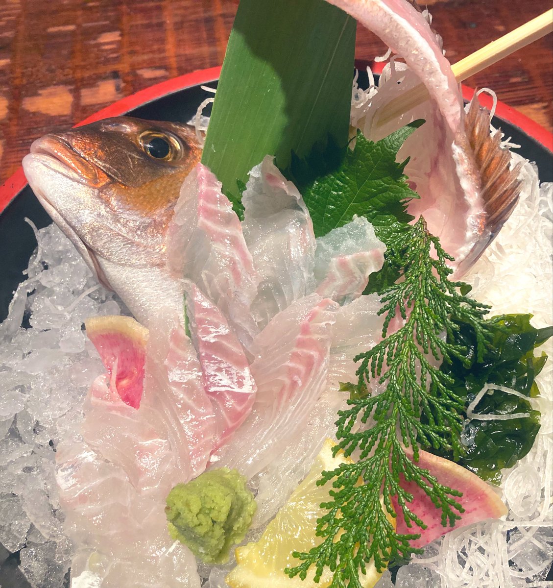 瞬光★Arisa0225🐊🐒(突発性難聴改善中) tweet media