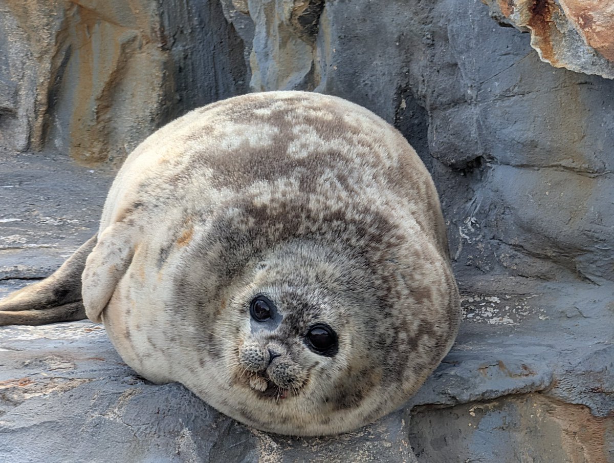 ちゃき♐ tweet media