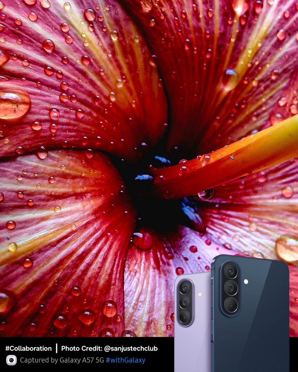 SamsungIndia's tweet image. Up close, detailed and undeniably awesome. 📸
@saaaanjjjuuu got his hands on the new #GalaxyA57 5G and put its camera to test. The results? Nothing short of awesome, showcasing incredible depth and sharpness in every single pixel.
Swipe to see ➡️
#AwesomeIsForEveryone #Samsung