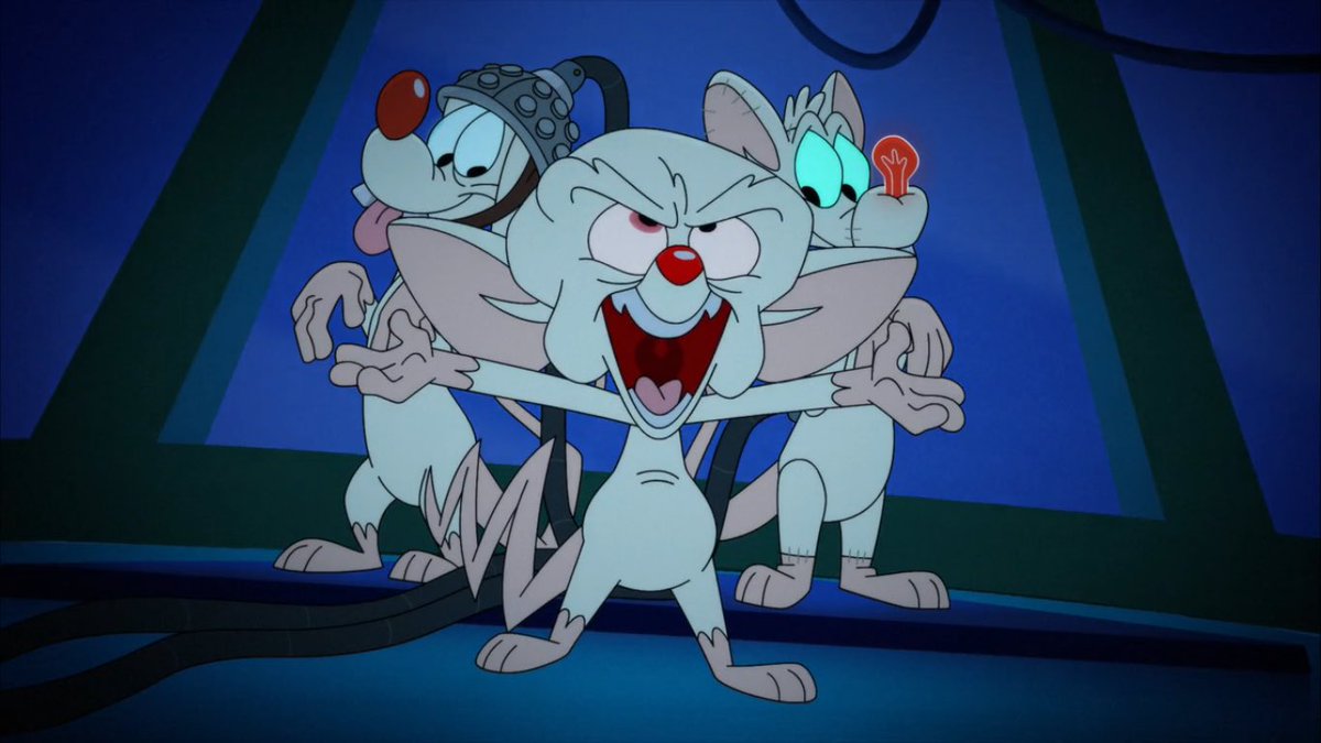 ChelseatheCartoonGal tweet media