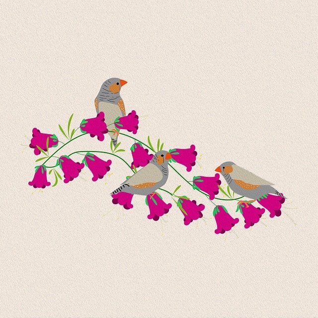 Christine Satchell tweet media