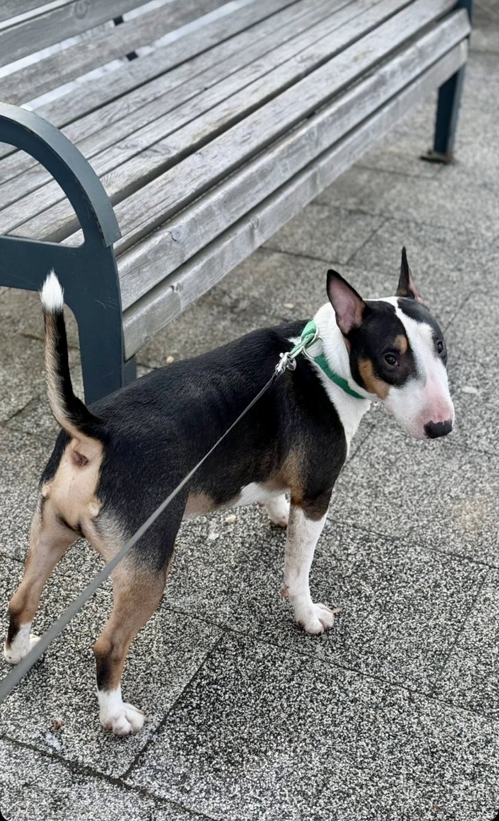 Светлaнa Шерстобитова tweet media