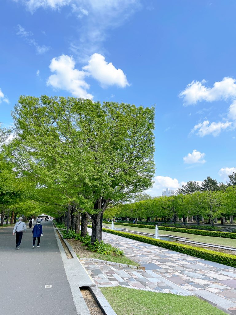 やなこ tweet media