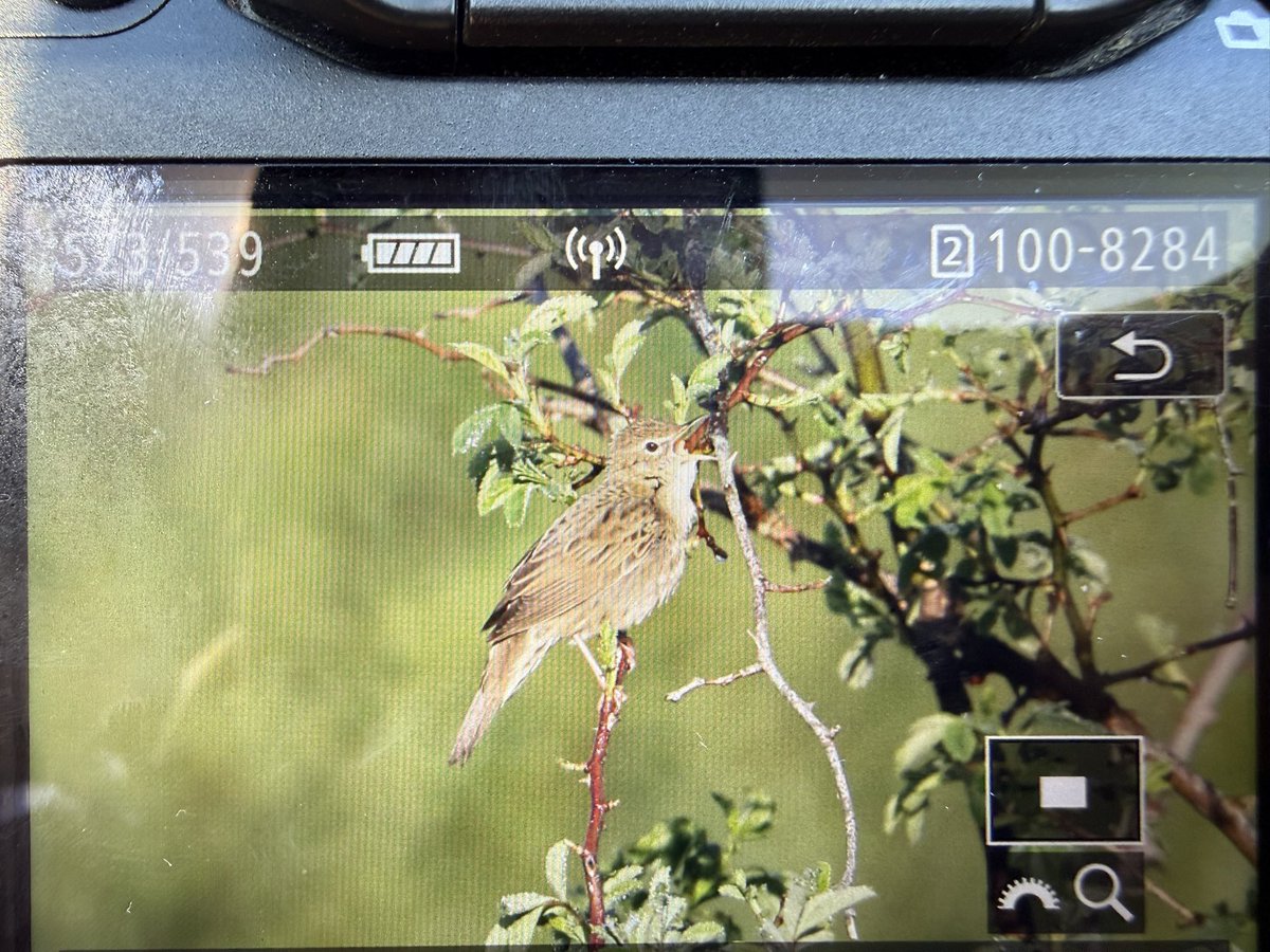 Rob Mould tweet media