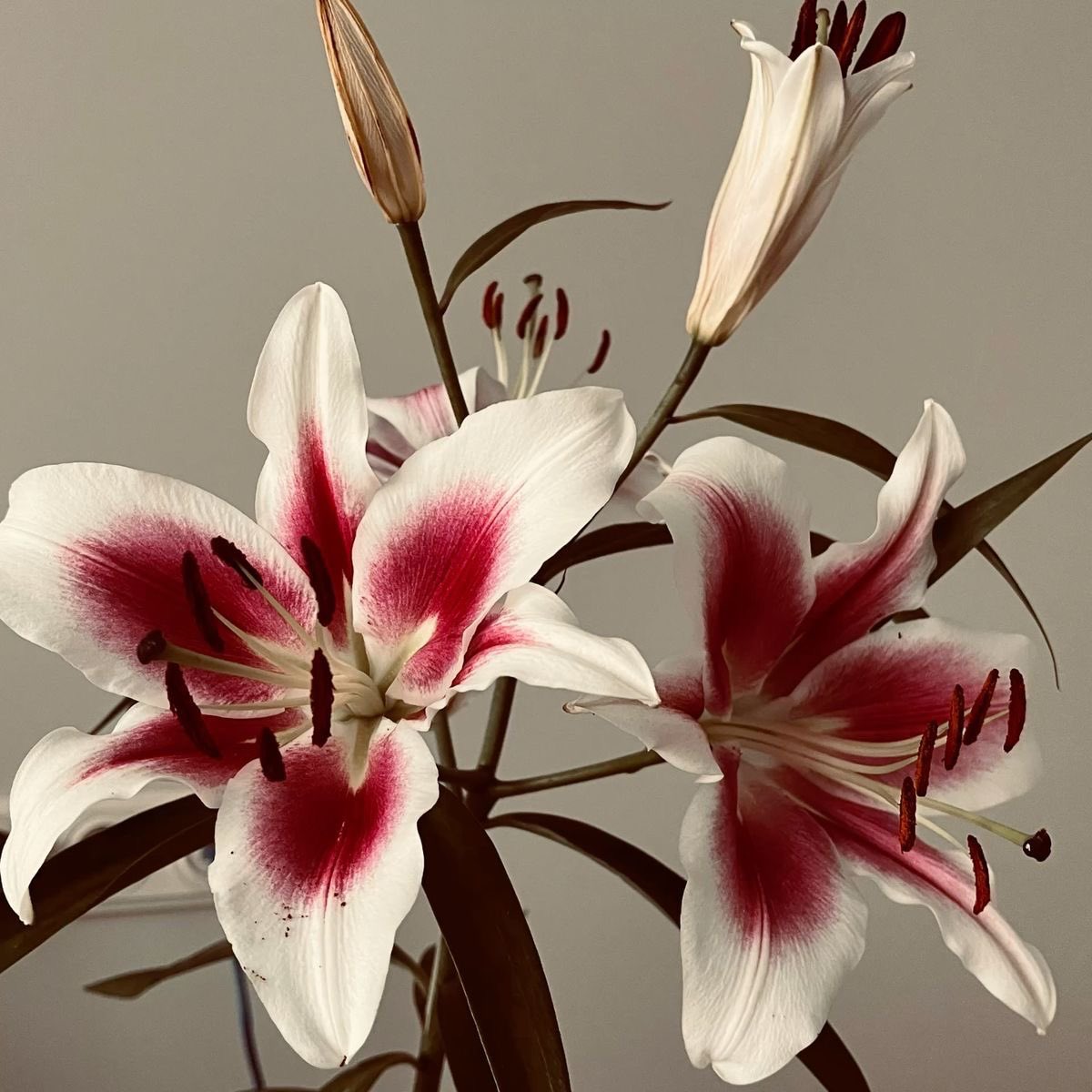 JJK post office 💌 tweet media