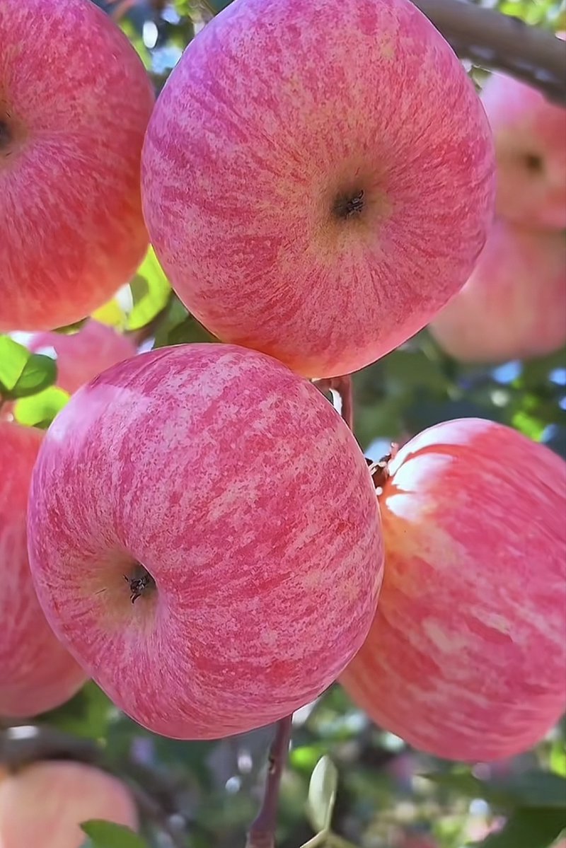 Florencia Diez tweet media