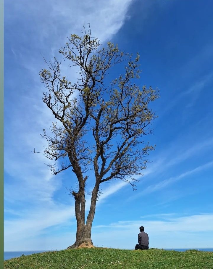 "Oturdum yanıma, 
yüzünü andım."