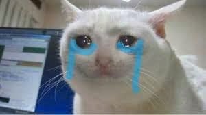 phungkhangTV tweet media