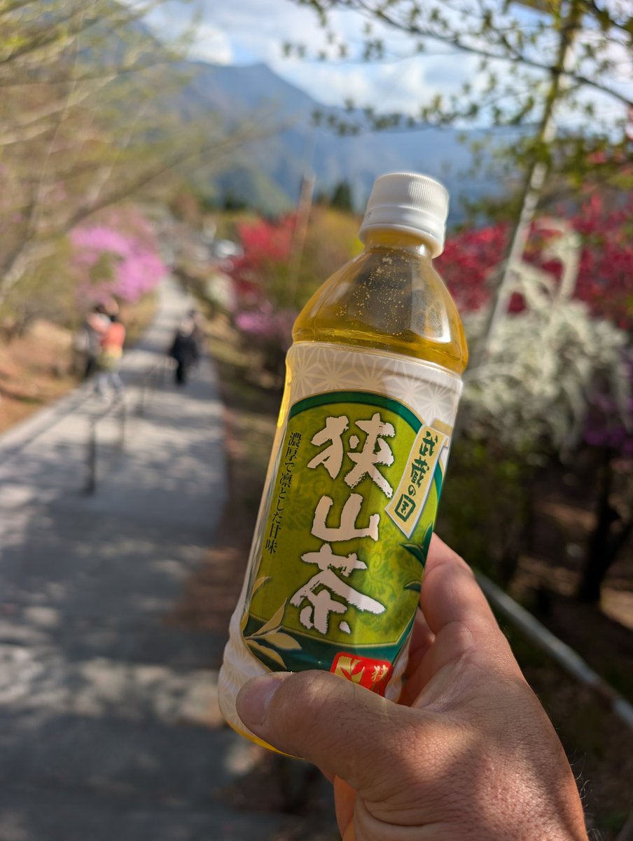 参拝後はお茶をね…😌