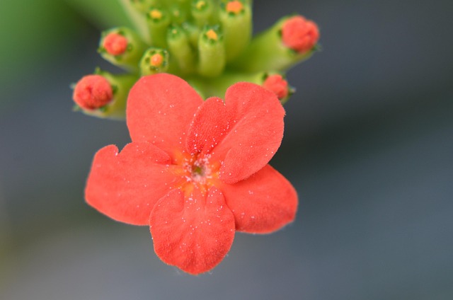 Terry Camlin tweet media