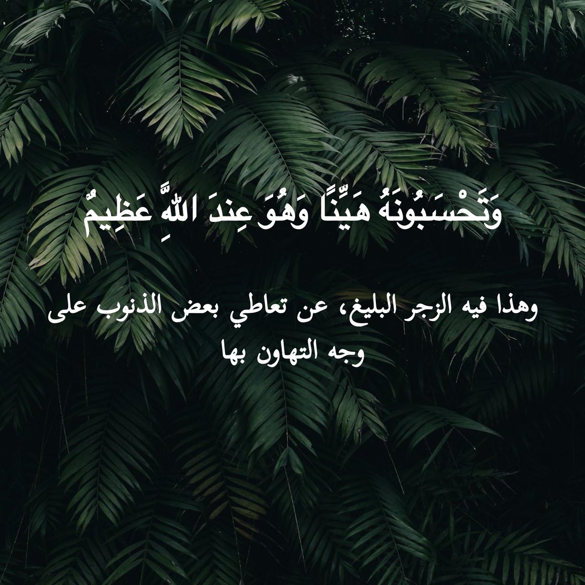 فائدة يومية tweet media