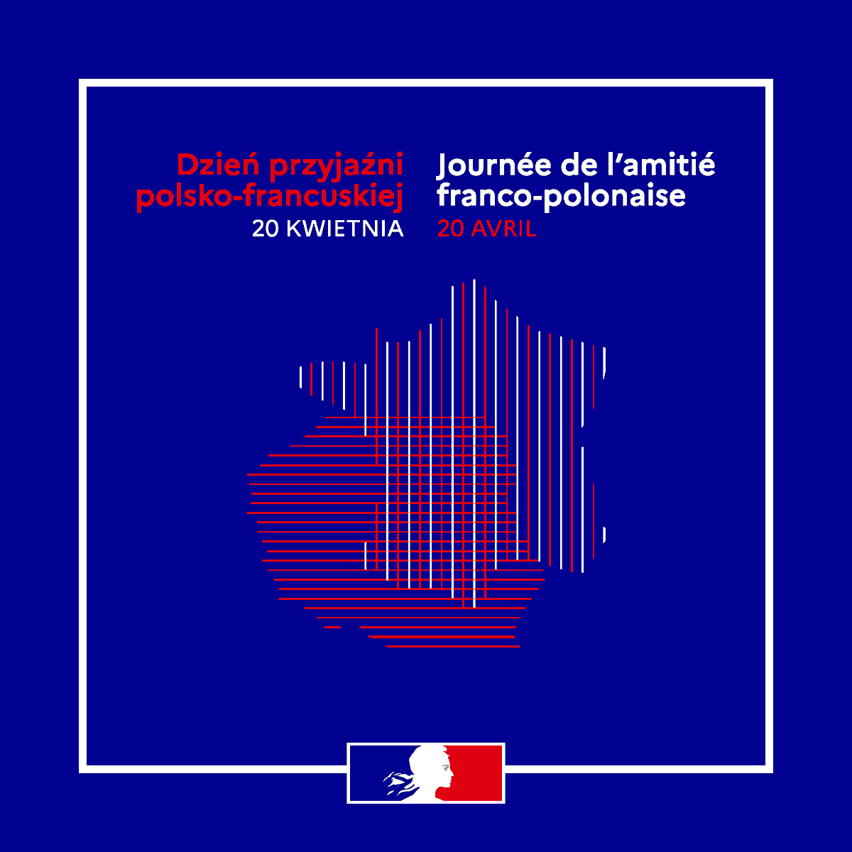 La France en Pologne 🇫🇷🇪🇺 tweet media