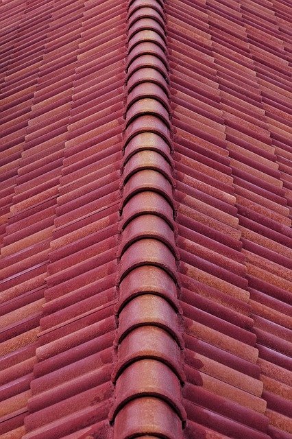 Crystal Wilson tweet media