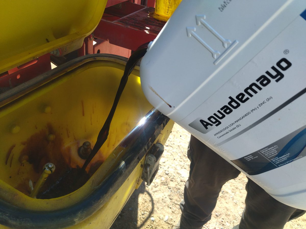 CatedraSipcam's tweet photo. 🗣️La Cátedra SIPCAM @sipcam_iberia - @Univcordoba de Bioestimulación de Cultivos para la Promoción de una Agricultura Rentable y Sostenible continúa avanzando en los ensayos de campo en trigo duro y trigo blando, con la realización de la segunda aplicación de #bioestimulación. https://t.co/BA8PKhSXFP