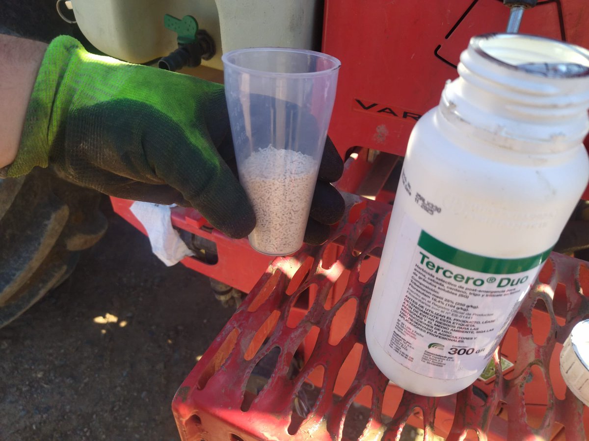 CatedraSipcam's tweet photo. 🗣️La Cátedra SIPCAM @sipcam_iberia - @Univcordoba de Bioestimulación de Cultivos para la Promoción de una Agricultura Rentable y Sostenible continúa avanzando en los ensayos de campo en trigo duro y trigo blando, con la realización de la segunda aplicación de #bioestimulación. https://t.co/BA8PKhSXFP