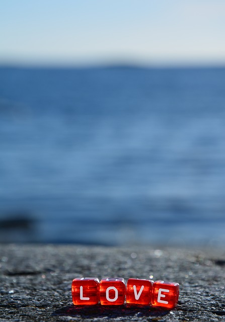 Reesha Neidlinger tweet media