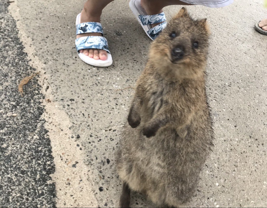 ぐらんと tweet media