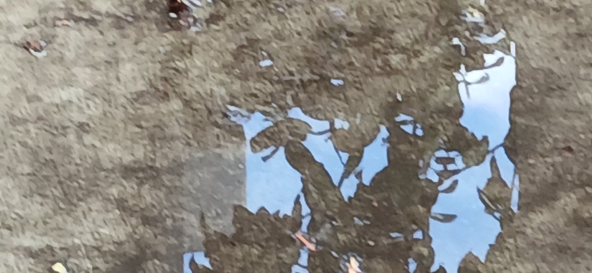 jlints58's tweet image. #BraveWrite 4/20/2026 necklace  #poetsoftwitter #poetrycommunity #WritingCommunity

Mass killers notoriety
capability, envisioned fame
momentarily, children
a Hormuz stock market,
a #necklace facade talks it,
infrastructure killing
muddled aside, blame game
congressional society