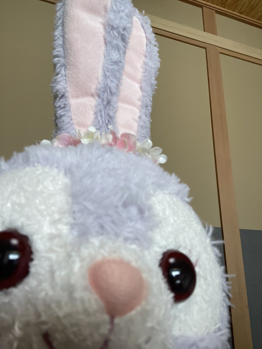 ちぇりんこ🍒 tweet media