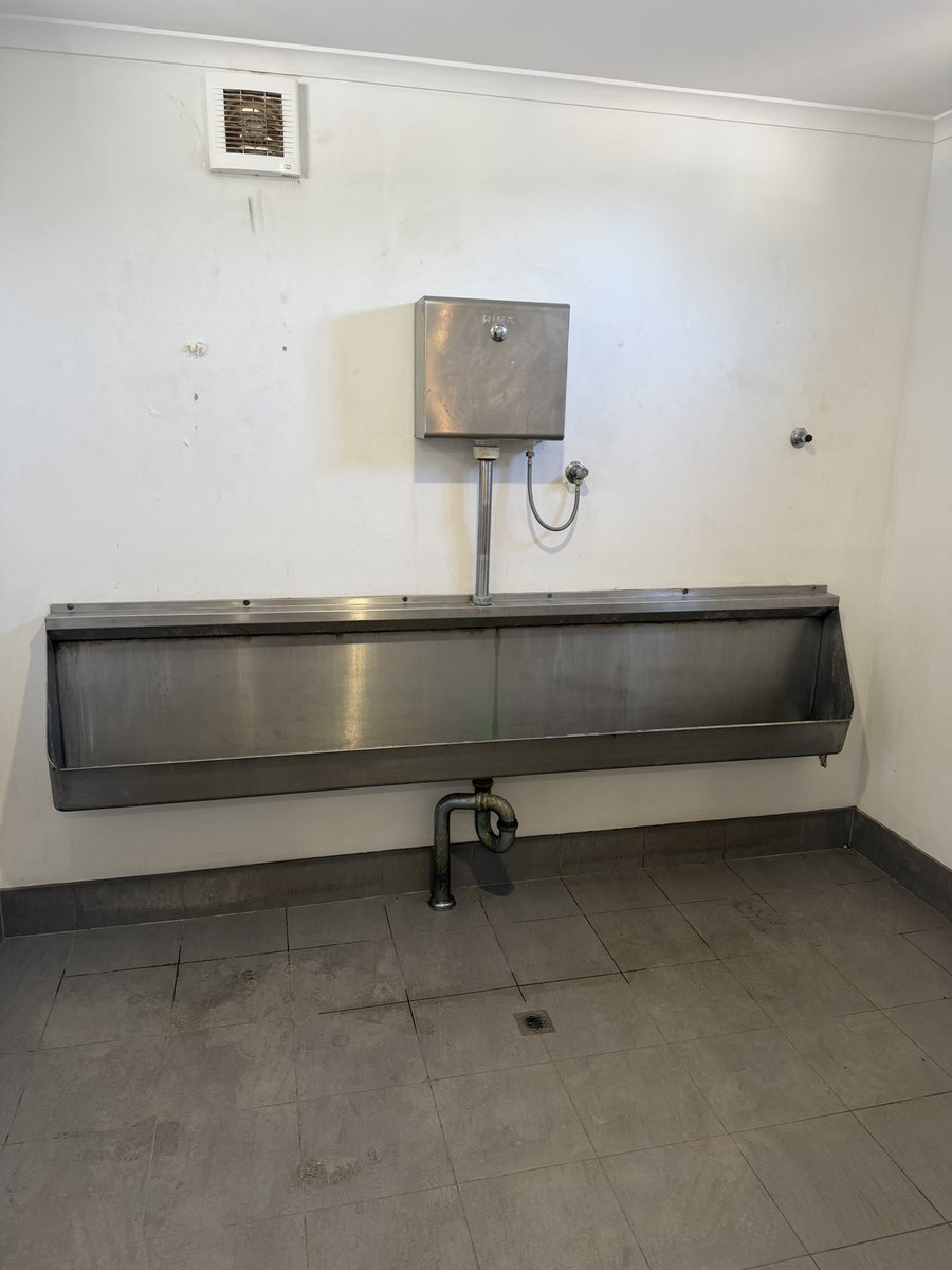 Dans Gay tweet media