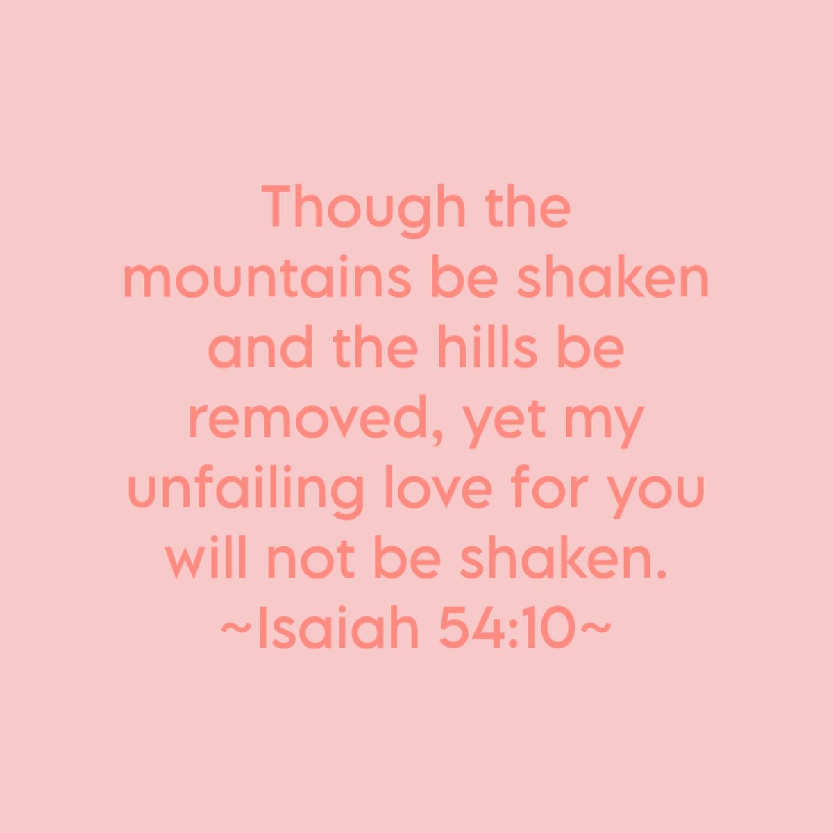 🎀🧸 tweet media