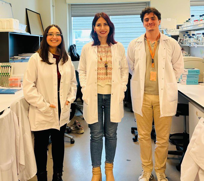 ProfYusufBaran's tweet photo. Moleküler Biyoloji ve Genetik Bölümü Öğretim Üyemiz Prof. Dr. Güneş Özhan ve ekibinin; İzmir Biyotıp ve Genom Merkezi (İBG) ve Dokuz Eylül Üniversitesi ile birlikte yürüttüğü çalışma, umut verici bir keşfe imza attı.
Araştırma; yeşil çay ve narda bulunan iki doğal bileşenin birlikte kullanıldığında, beyin hücrelerine zarar veren protein birikimini laboratuvar ortamında çok daha güçlü bir şekilde azalttığını gösterdi. Alzheimer gibi karmaşık bir hastalıkla mücadele yolunda bu kıymetli çalışma, bilimin evrensel sorunlara somut çözümler üretme gücünü bir kez daha kanıtlıyor.
Değerli hocalarımızı ve çalışma arkadaşlarını yürekten kutluyorum. Daha yaşanabilir ve sağlıklı bir gelecek için  çalışmaya devam edeceğiz.
.
Our faculty member from the Department of Molecular Biology and Genetics, Prof. Dr. Güneş Özhan, and her team have made a promising discovery through their collaborative study conducted together with the İzmir Biomedicine and Genome Center (İBG) and Dokuz Eylül University.
The research demonstrated that when two natural compounds found in green tea and pomegranate are used together, they significantly reduce the accumulation of proteins that damage brain cells under laboratory conditions. This valuable study represents an important step in the fight against complex diseases such as Alzheimer’s and once again highlights the power of science to produce tangible solutions to global challenges.
I sincerely congratulate our valuable academicians and their research team. We will continue working towards a more livable and healthier future.
@iyteedutr #iyte #iztech #iytemolekülerbiyolojivegenetikbölümü #izmirbiyotıpgenommerkezi #dokuzeylülüniversitesi #alzheimer #genetikbilimi #araştırmaüniversitesi