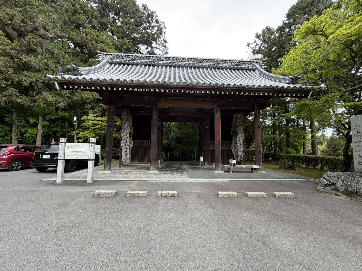 蒼いねこ.com tweet media