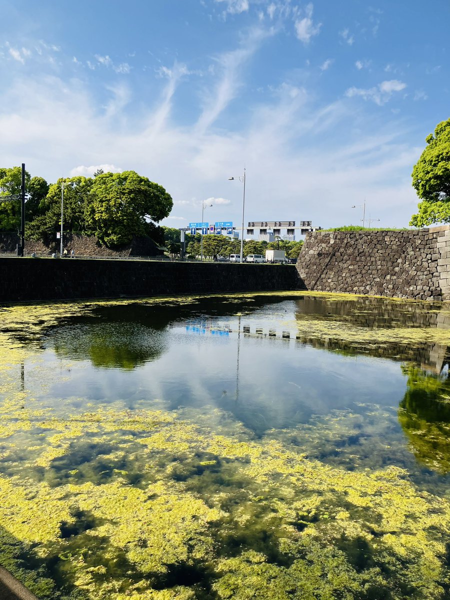 55ambitious's tweet image. 日比谷公園と皇居周りがすてき🦢🌳✨
仕事する図書館をもとめて日比谷公園へ

海外の人が秋葉原にときめいてくれるのも嬉しいけど、こういう古風な景色に感動してくれてるのもうれしい😊

#JAPAN
#TOKYO
#HIBIYA
#ビアガーデンやってなくても来よう