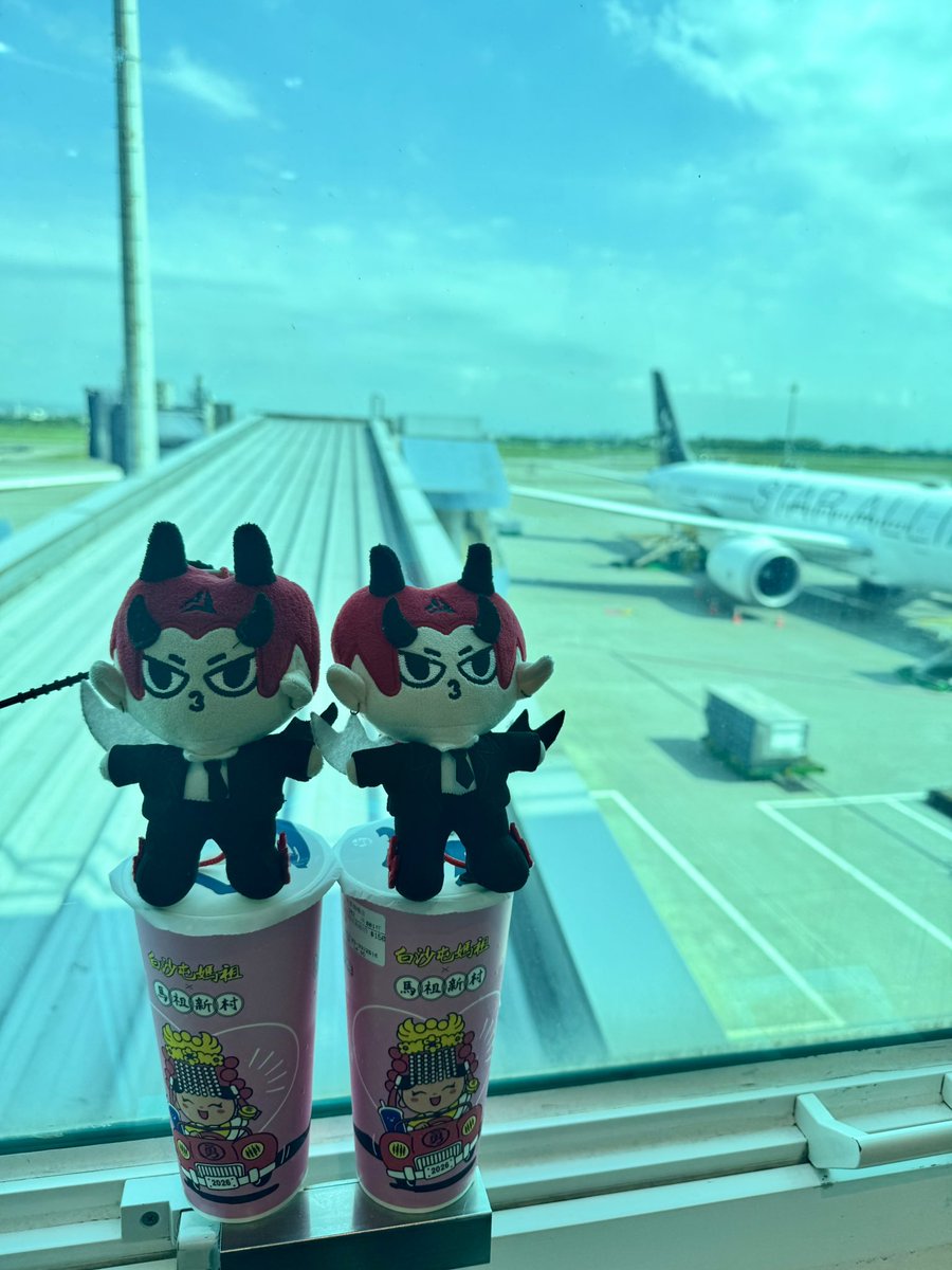 まむ🐶 tweet media