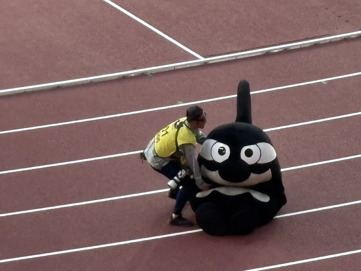 まーしー tweet media