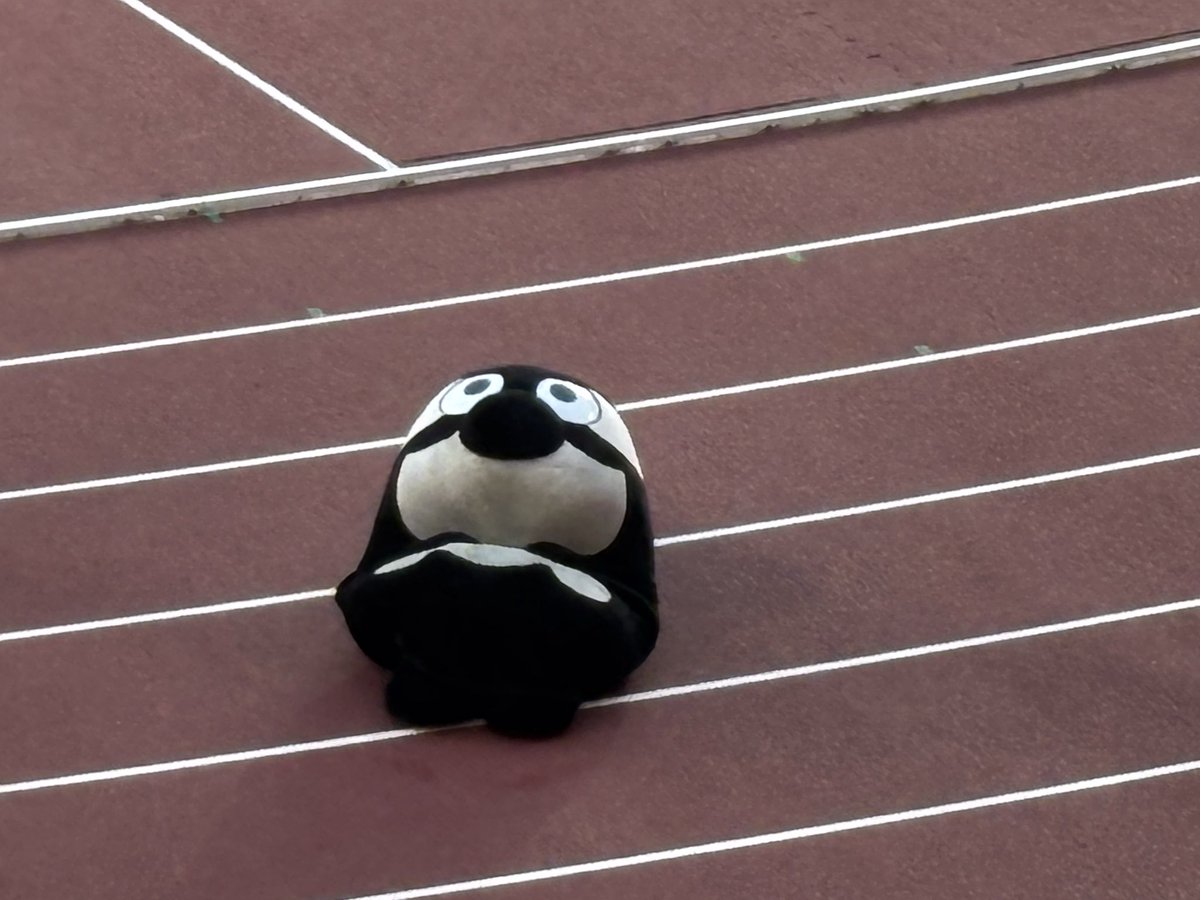 まーしー tweet media