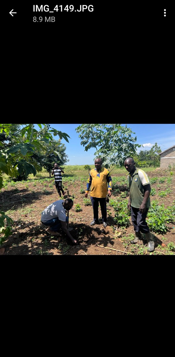 kadiuganda's tweet photo. Planting trees for a healthier &amp; more stable environment. With funding from @theGEF @GEF_SGP, supported by @UNDP, @KadUganda will implement a community-based project through Green Business Initiative Project in Bulamburi district, aimed at promoting sustainable livelihoods. https://t.co/94Qvbhfaw3